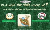 رتبه دوم کشوری  تهران با تولید یک میلیون و ۸۰۰ هزار تن شیرخام